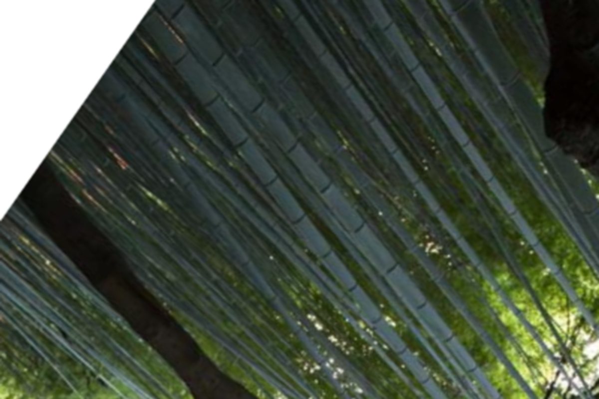 Marcus Osei – Digital & Motion Designer